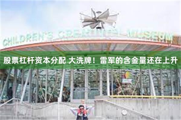 股票杠杆资本分配 大洗牌！雷军的含金量还在上升