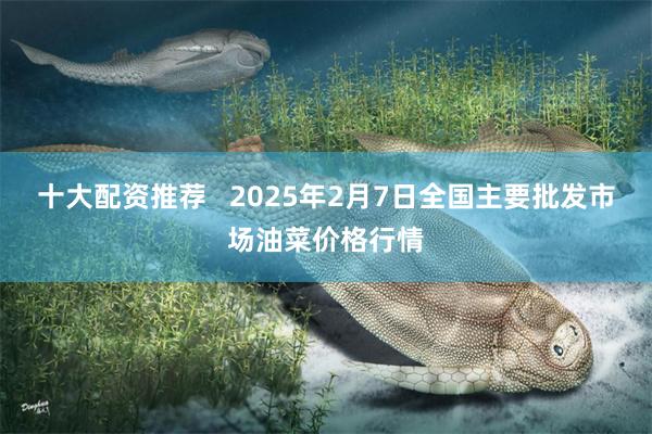 十大配资推荐 2025年2月7日全国主要批发市场油菜价格行情