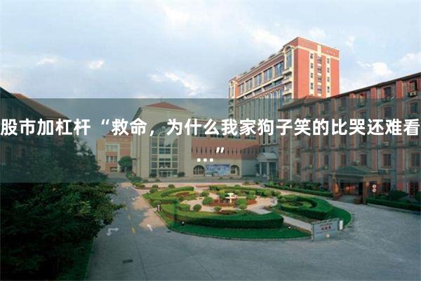 股市加杠杆 “救命，为什么我家狗子笑的比哭还难看...”