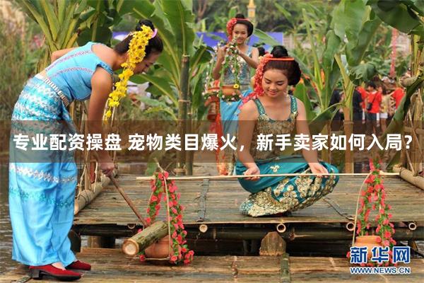 专业配资操盘 宠物类目爆火，新手卖家如何入局？