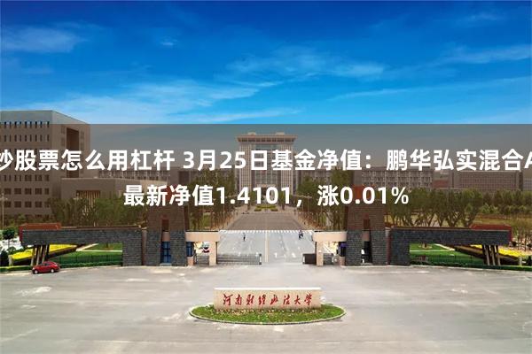 炒股票怎么用杠杆 3月25日基金净值：鹏华弘实混合A最新净值1.4101，涨0.01%