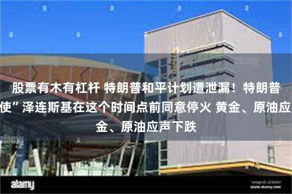 股票有木有杠杆 特朗普和平计划遭泄漏！特朗普将“迫使”泽连斯基在这个时间点前同意停火 黄金、原油应声下跌