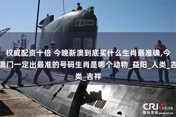 权威配资十倍 今晚新澳到底买什么生肖最准确,今晚澳门一定出最准的号码生肖是哪个动物_益阳_人类_吉祥