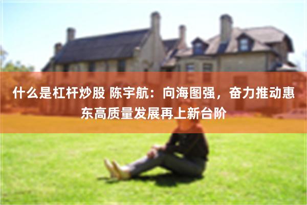 什么是杠杆炒股 陈宇航：向海图强，奋力推动惠东高质量发展再上新台阶