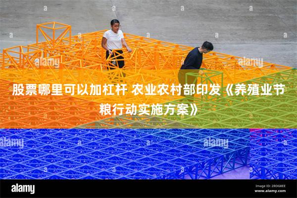 股票哪里可以加杠杆 农业农村部印发《养殖业节粮行动实施方案》