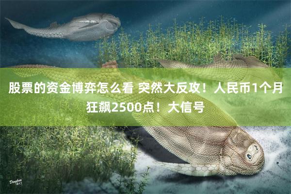股票的资金博弈怎么看 突然大反攻！人民币1个月狂飙2500点！大信号