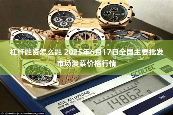 杠杆融资怎么融 2025年6月17日全国主要批发市场淡菜价格行情