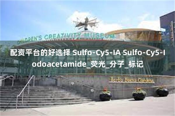 配资平台的好选择 Sulfo-Cy5-IA Sulfo-Cy5-Iodoacetamide_荧光_分子_标记