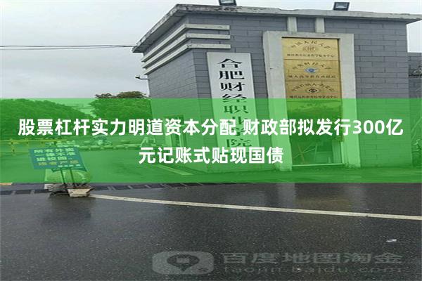 股票杠杆实力明道资本分配 财政部拟发行300亿元记账式贴现国债