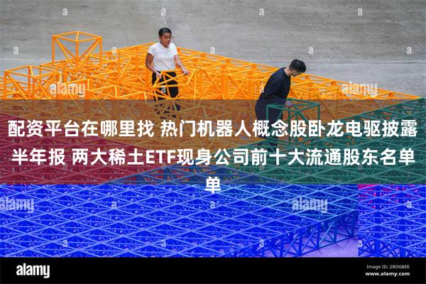 配资平台在哪里找 热门机器人概念股卧龙电驱披露半年报 两大稀土ETF现身公司前十大流通股东名单