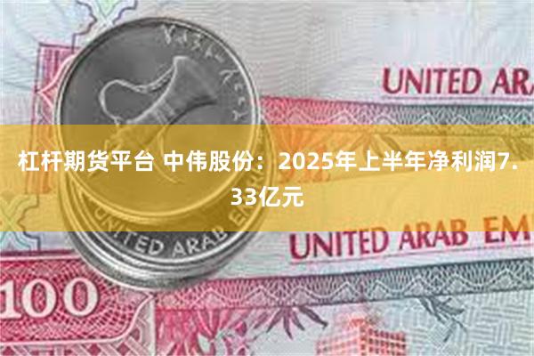 杠杆期货平台 中伟股份：2025年上半年净利润7.33亿元