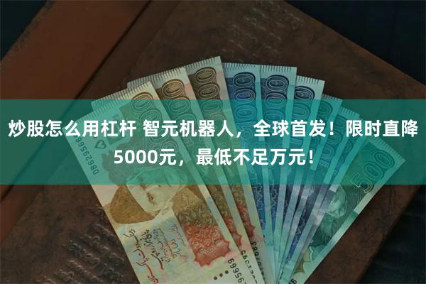 炒股怎么用杠杆 智元机器人,全球首发!限时直降5000元,最低不足万元!
