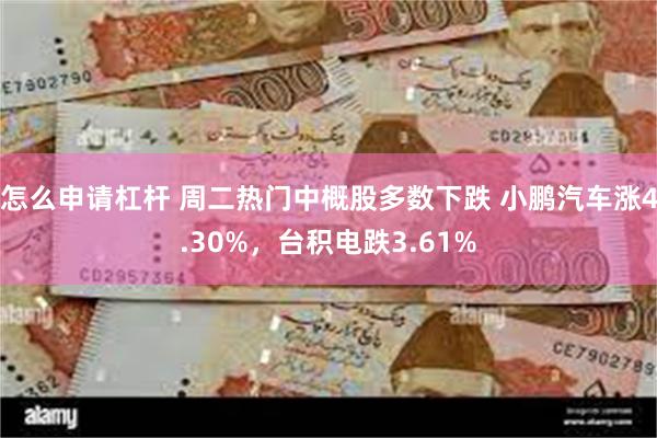 怎么申请杠杆 周二热门中概股多数下跌 小鹏汽车涨4.30%，台积电跌3.61%