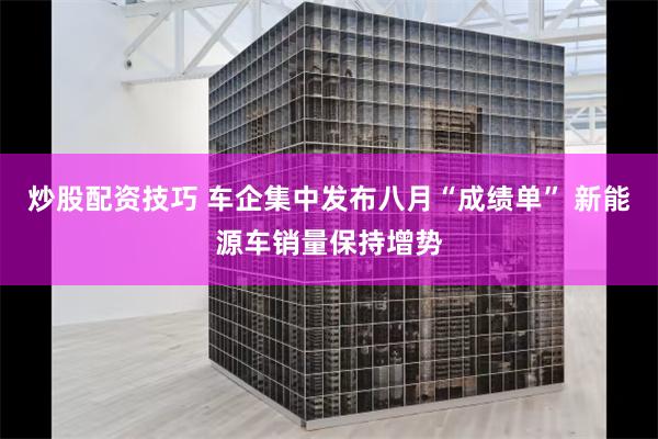 炒股配资技巧 车企集中发布八月“成绩单” 新能源车销量保持增势